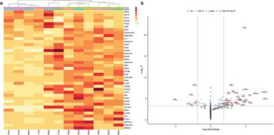 Medication for Acromegaly Reduces Expression of MUC16, MACC1 and GRHL2 in Pituitary Neuroendocrine Tumour Tissue